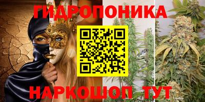 дурь Заводоуковск