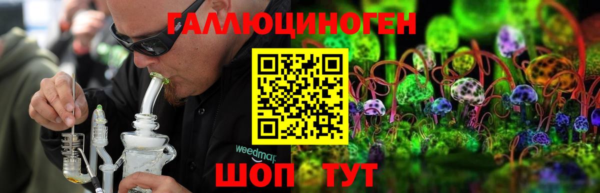 Псилоцибиновые грибы Psilocybe Магнитогорск